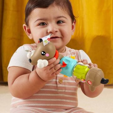 Fisher-Price Köpekçikle Eğlenceli Aktiviteler, Oyuncak