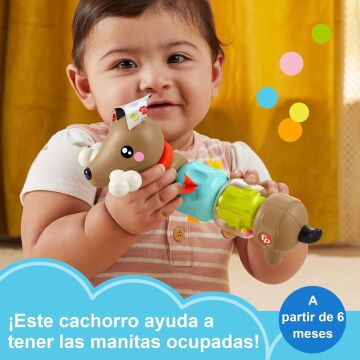 Fisher-Price Köpekçikle Eğlenceli Aktiviteler, Oyuncak