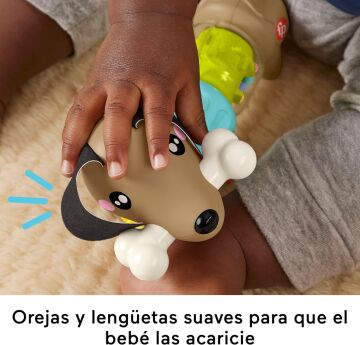 Fisher-Price Köpekçikle Eğlenceli Aktiviteler, Oyuncak