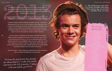 Harry Styles: Adore You: The Illustrated Biography