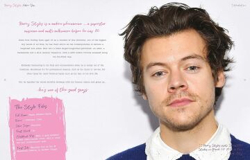 Harry Styles: Adore You: The Illustrated Biography