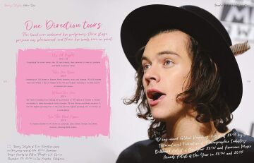 Harry Styles: Adore You: The Illustrated Biography