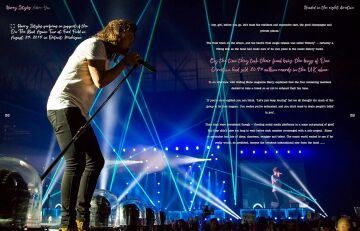 Harry Styles: Adore You: The Illustrated Biography