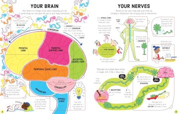 How Your Body Works