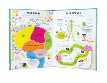 How Your Body Works