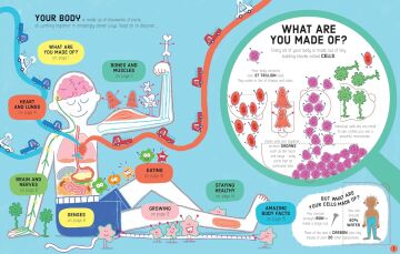 How Your Body Works
