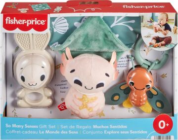 Fisher-Price Duyuları Harekete Geçiren Oyun Seti