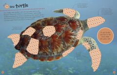 Ocean Ultimate Sticker Book