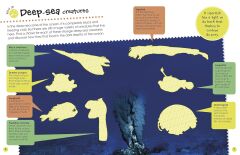 Ocean Ultimate Sticker Book
