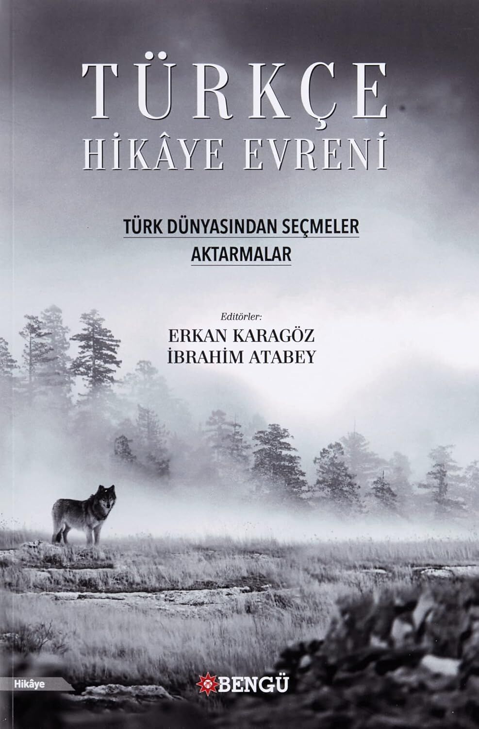 Türkçe Hikaye Evreni - Türk Dünyasından Seçmeler Aktarmalar