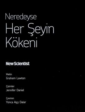 Neredeyse Her Şeyin Kökeni