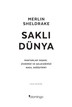 Saklı Dünya