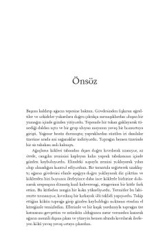Saklı Dünya