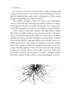 Saklı Dünya
