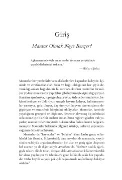 Saklı Dünya
