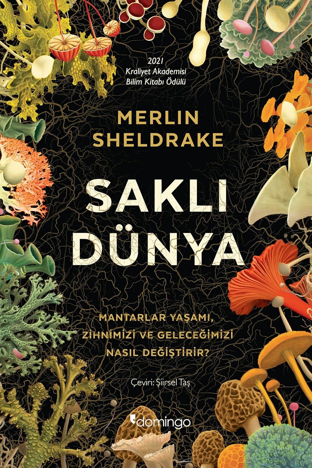 Saklı Dünya