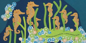 Secret Seahorse