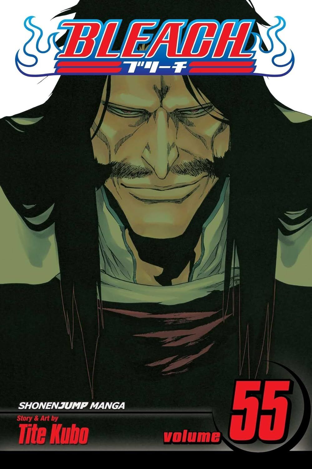 Bleach Volume 55