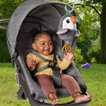 Fisher-Price Kanat Çırpan Tukan