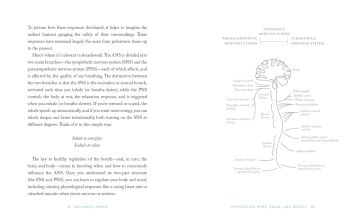 The Breathwork Companion: Unlock the Healing Power of Breathing