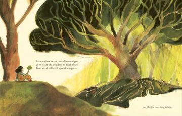 What Do You See When You Look At a Tree?