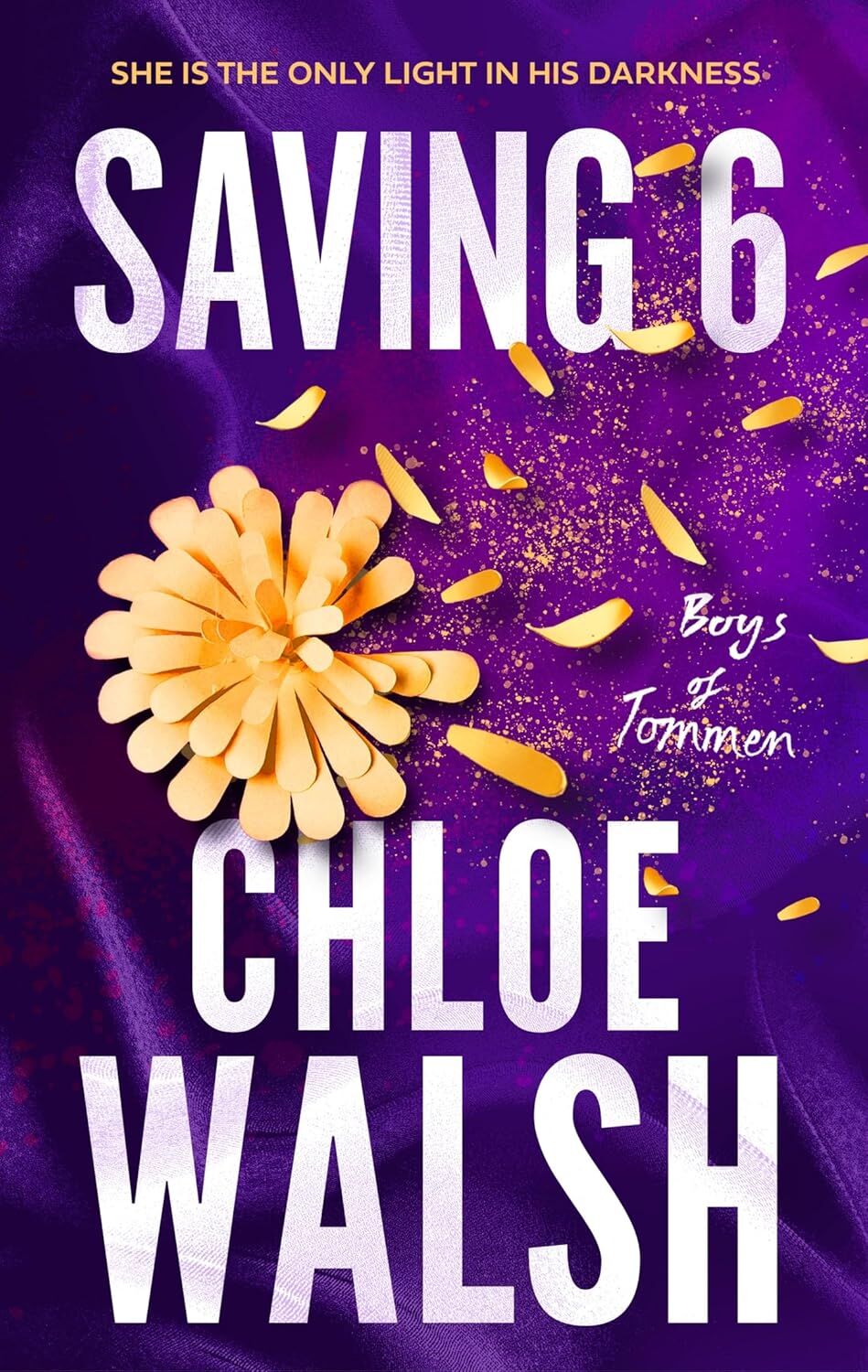 Saving 6: Epic, emotional and addictive romance from the TikTok phenomenon: 3