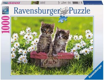 Ravensburger 19480 – piknik auf der çayır