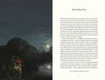 Natural Light: The Art of Adam Elsheimer and the Dawn of Modern Science