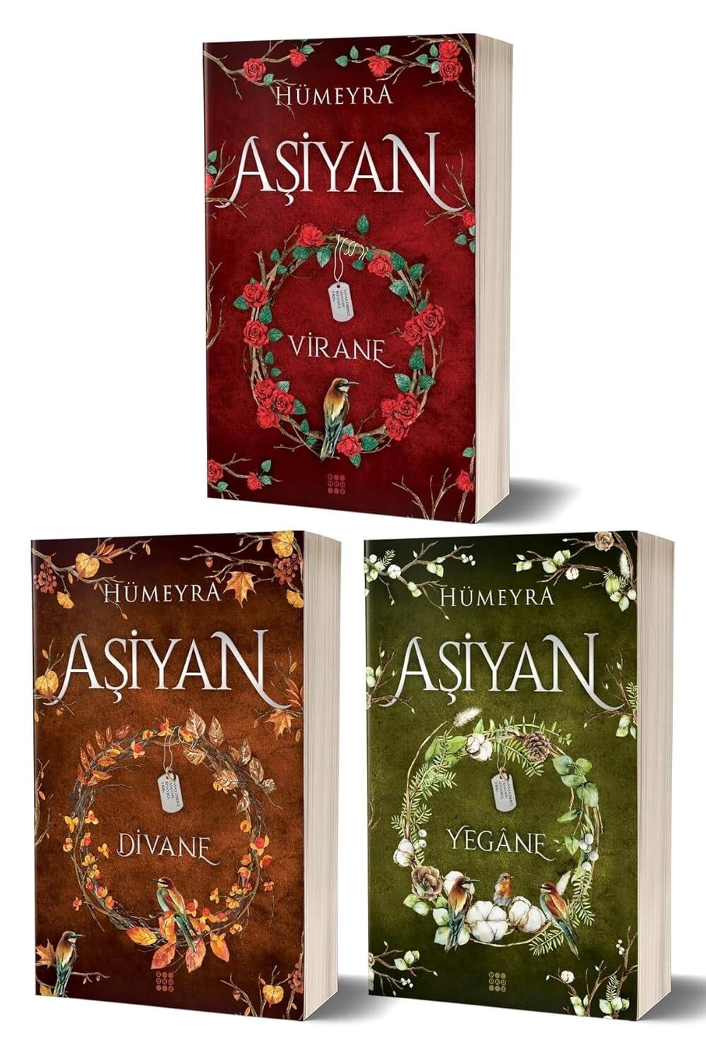 Aşiyan Serisi (3 Kitap Takım)