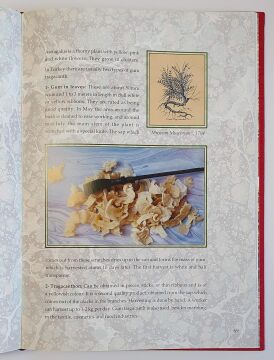 The Dream Of Water Ebru: The Living Tradition