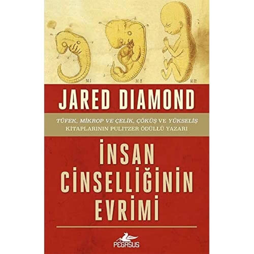 İnsan Cinselliğinin Evrimi: 1