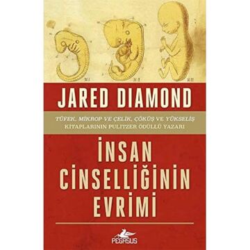 İnsan Cinselliğinin Evrimi: 1