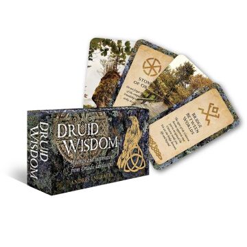 Druid Wisdom (Kapak Resmi değişebilir)