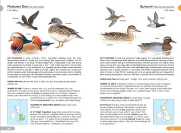 RSPB Pocket Guide to British Birds