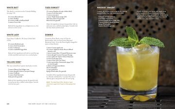 New Craft of the Cocktail: Everything You Need to Know to Think Like a Master Mixologist, with 500 Recipes