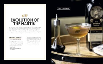 New Craft of the Cocktail: Everything You Need to Know to Think Like a Master Mixologist, with 500 Recipes