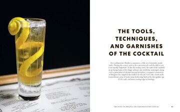 New Craft of the Cocktail: Everything You Need to Know to Think Like a Master Mixologist, with 500 Recipes