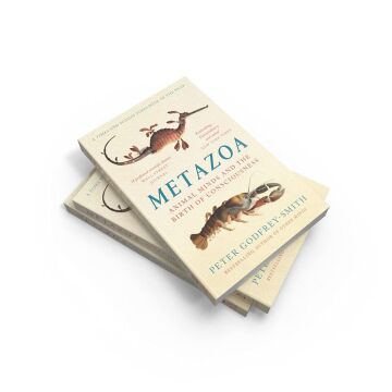 Metazoa: Animal Minds and the Birth of Consciousness
