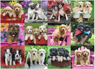 Ravensburger 500p Puz Köpek Yavruları, Yapboz