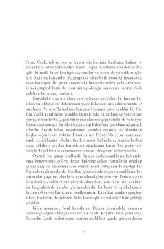 Dünya'nın Tüm Dertleri: Bir İnsanin Hemen Her Şeyi Anlatma Girişimi