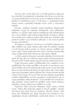 Dünya'nın Tüm Dertleri: Bir İnsanin Hemen Her Şeyi Anlatma Girişimi