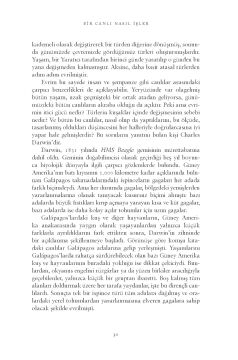 Dünya'nın Tüm Dertleri: Bir İnsanin Hemen Her Şeyi Anlatma Girişimi
