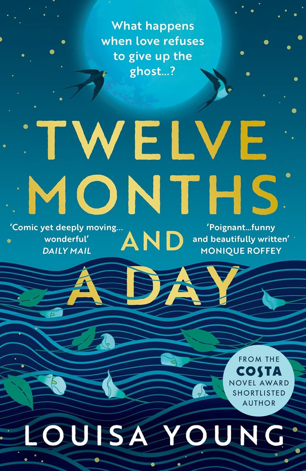 Twelve Months and a Day: Breathtaking new fiction from the Costa Novel Award shortlisted author