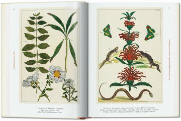 Seba. Cabinet of Natural Curiosities. 40th Anniversary Edition
