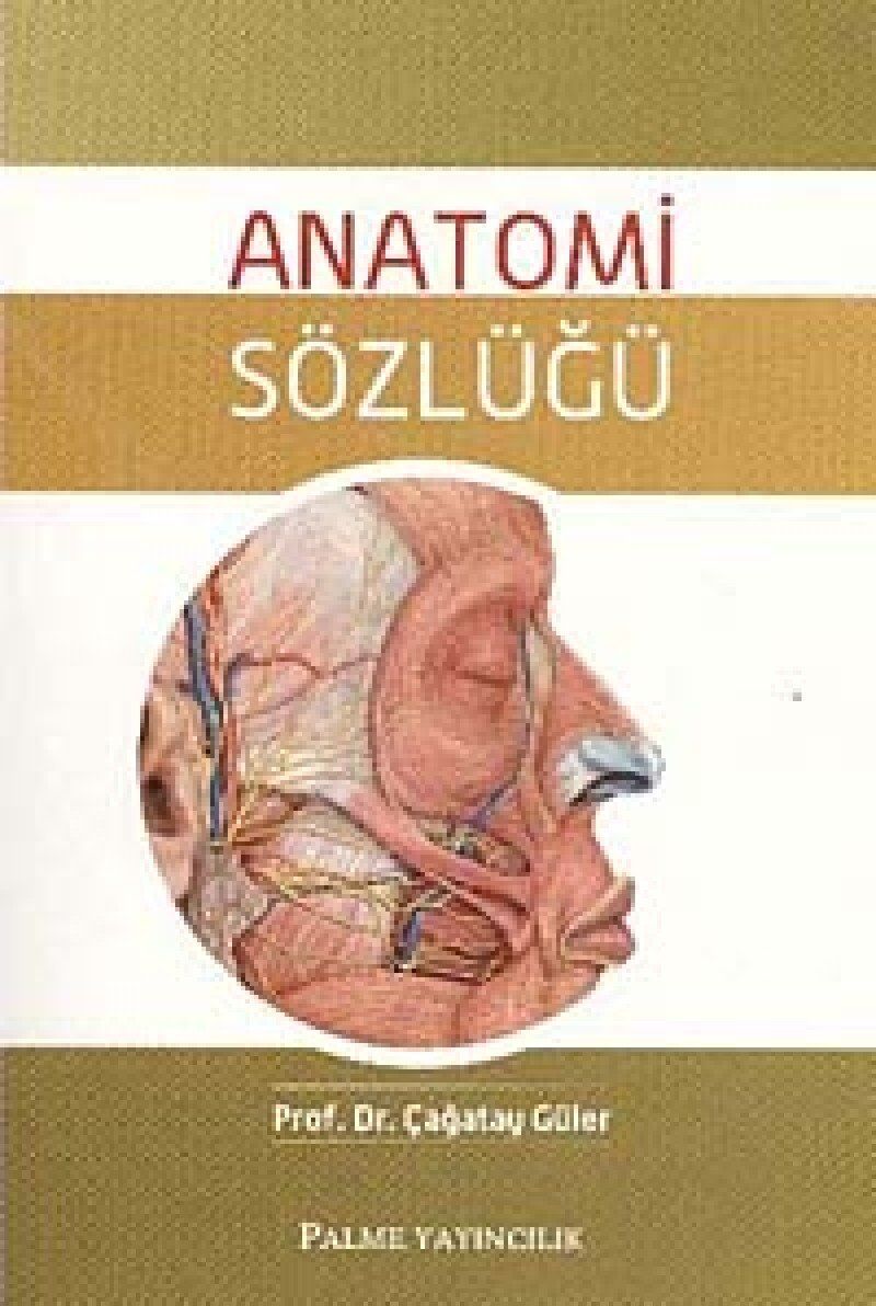 ANATOMİ SÖZLÜĞÜ