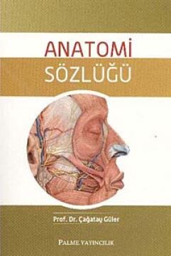 ANATOMİ SÖZLÜĞÜ