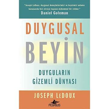 Duygusal Beyin: Duyguların Gizemli Dünyası