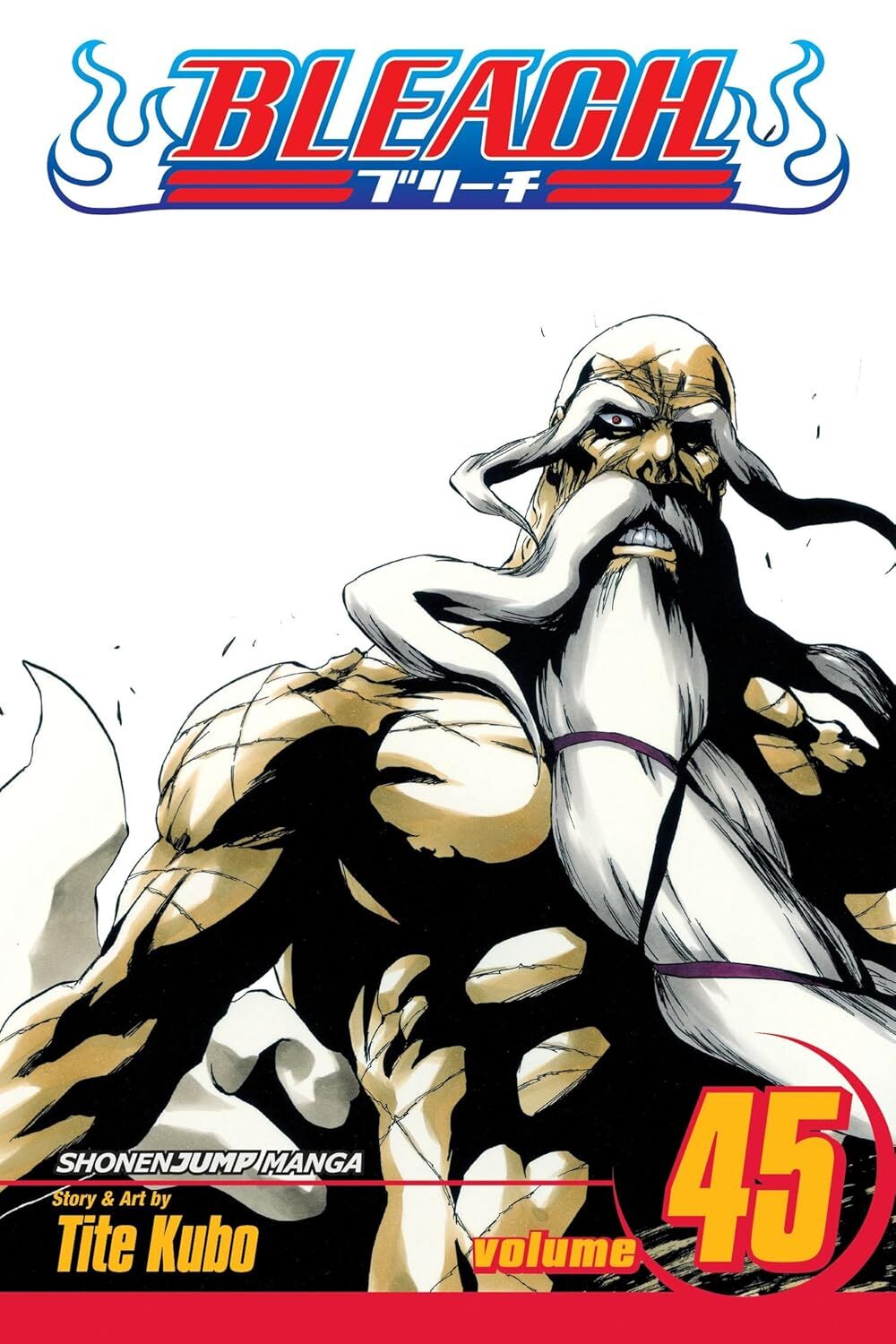 Bleach Volume 45