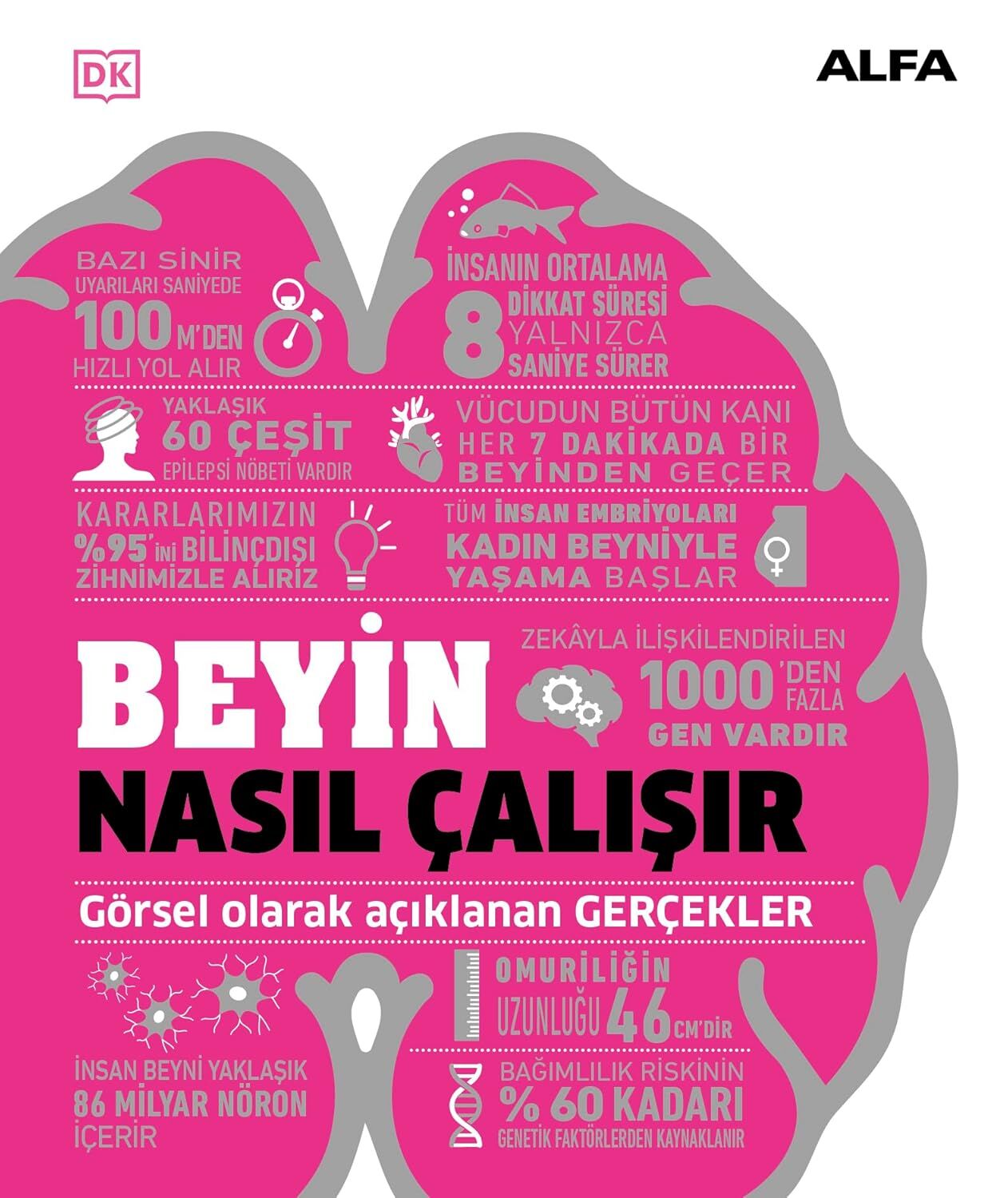 Beyin Nasıl Çalışır (Ciltli): Görsel Olarak Açıklanan Gerçekler