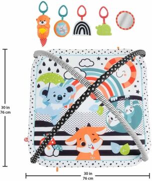 Fisher Price Neşeli Hayvanlar 3'ü 1 Arada Jimnastik Merkezi
